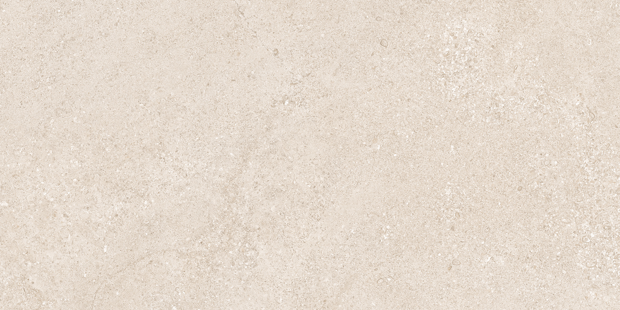 CLUNY PORCELAIN 60×120