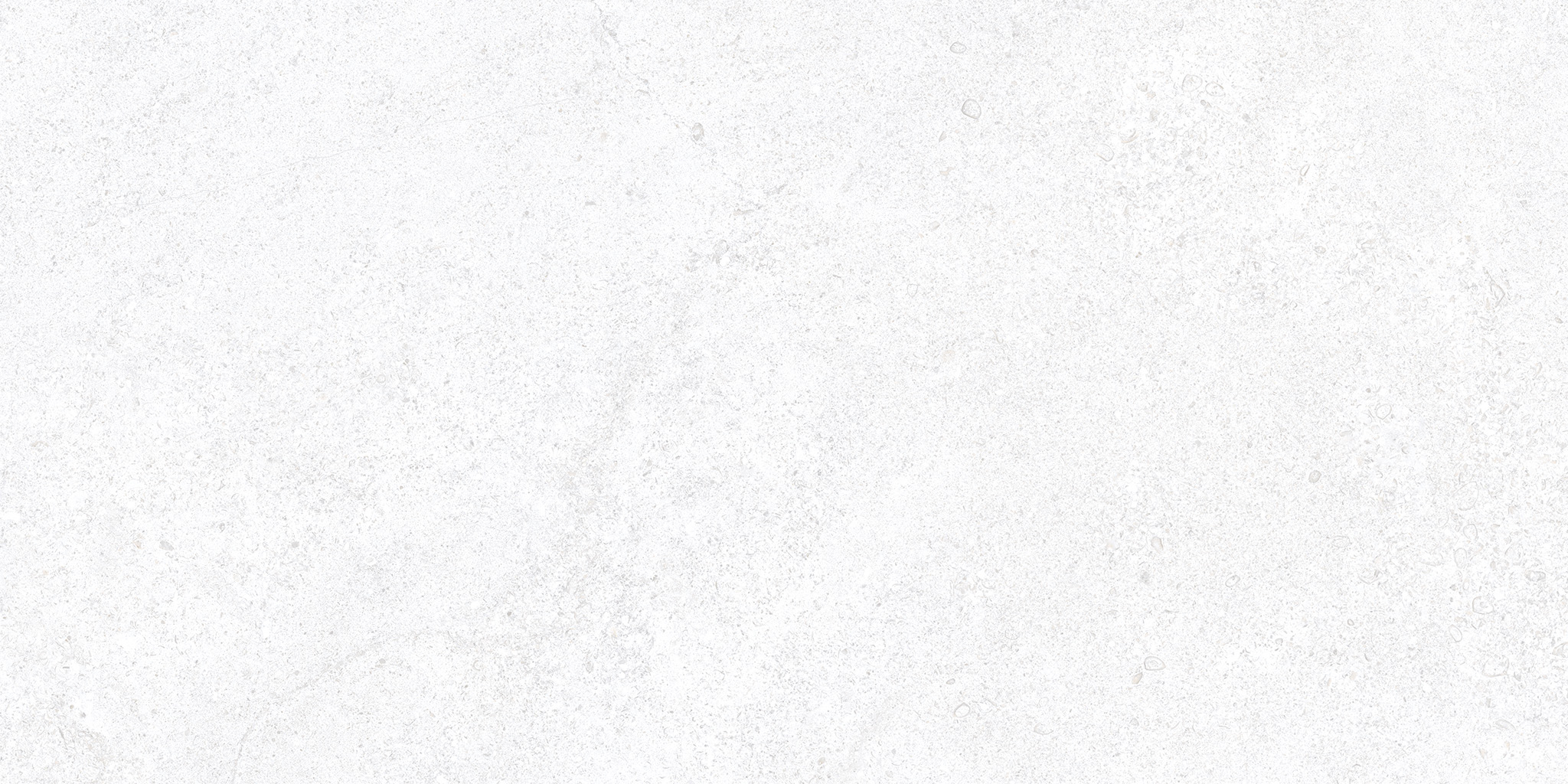 CLUNY PORCELAIN 60×120