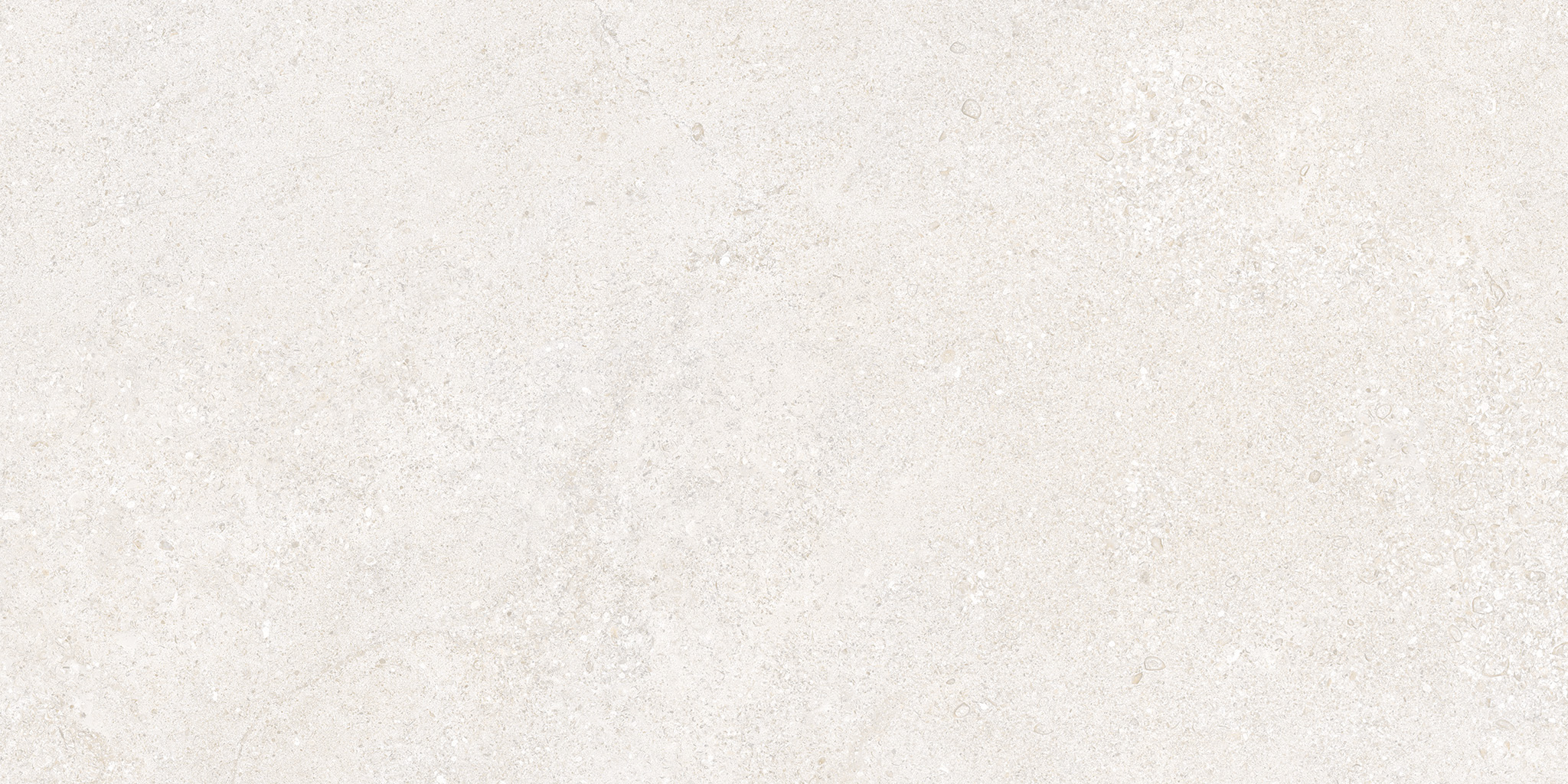CLUNY PORCELAIN 60×120