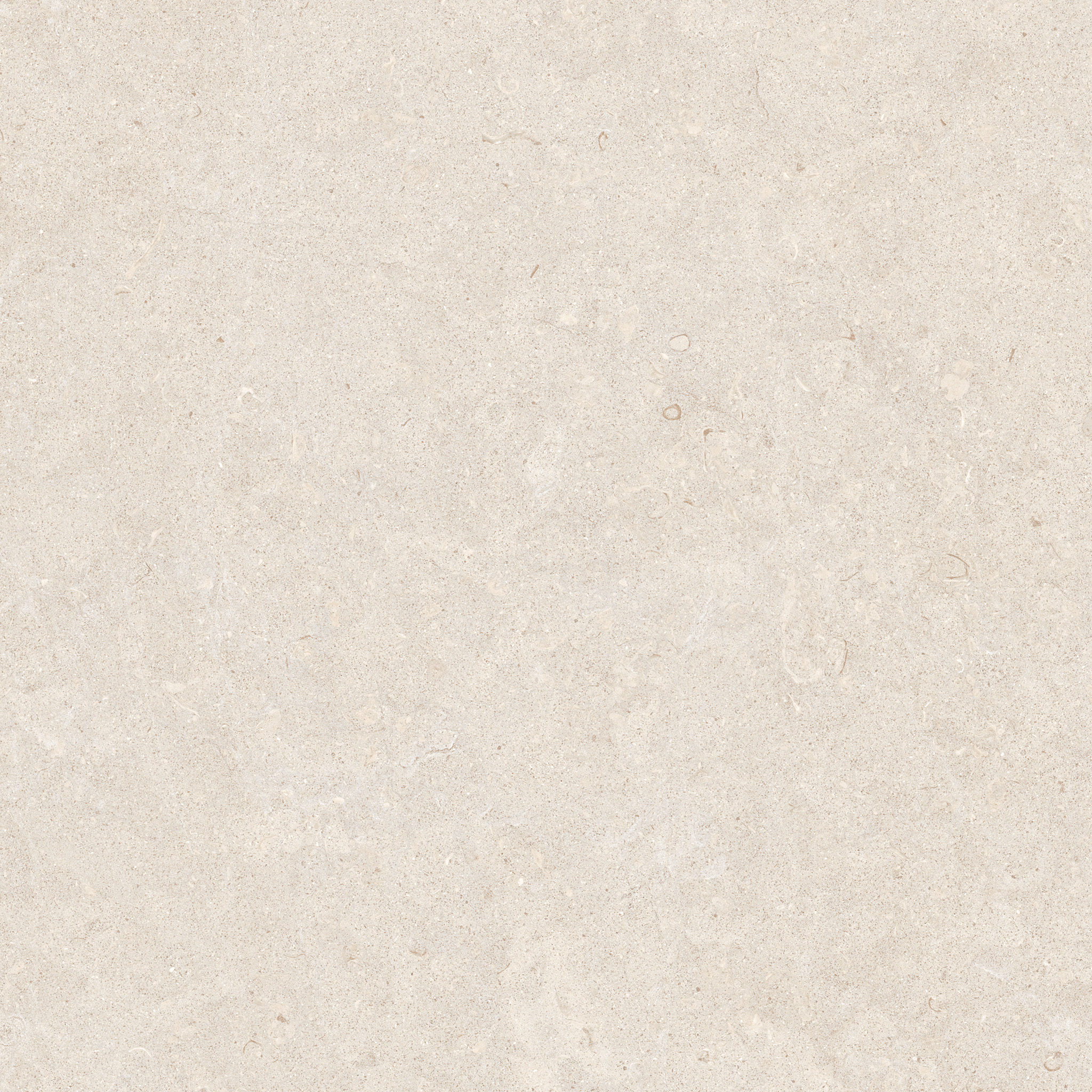 GHENT PORCELAIN 60×60