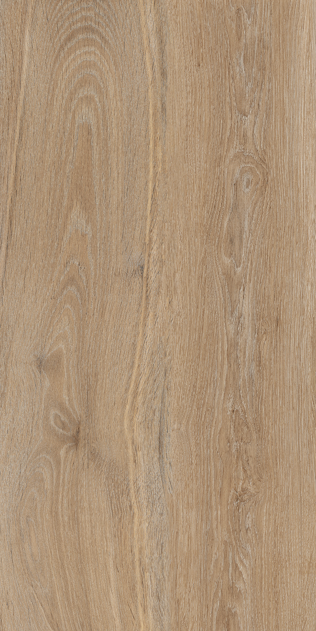 VERBIER PORCELAIN 50×100,01