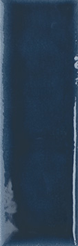 CN Indigo