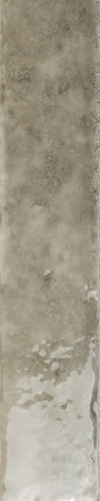 Potters Fossil