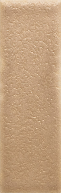 Skin Biscuit Матовая