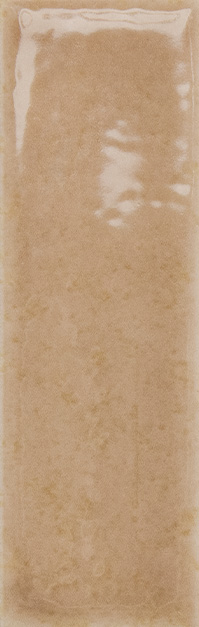 Skin Biscuit Глянцевая